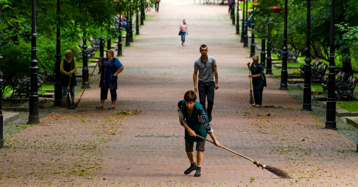 Tallinn ja Tartu muudavad niitmisgraafikuid