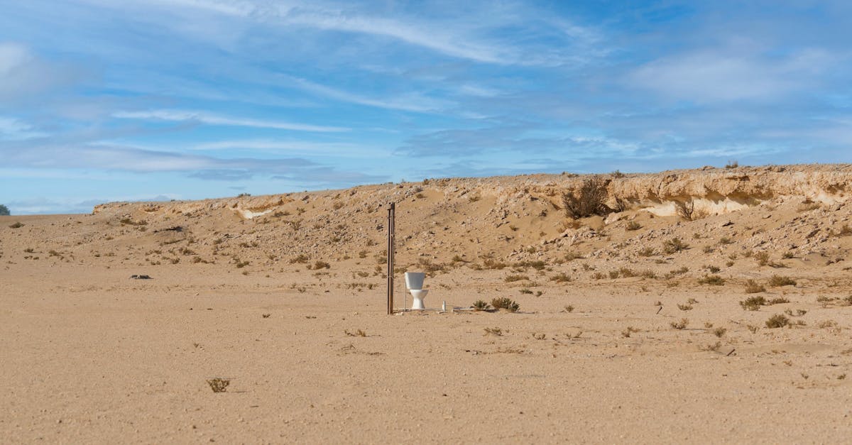 Outback Toilet Mishap Highlights Remote Area Infrastructure Risks