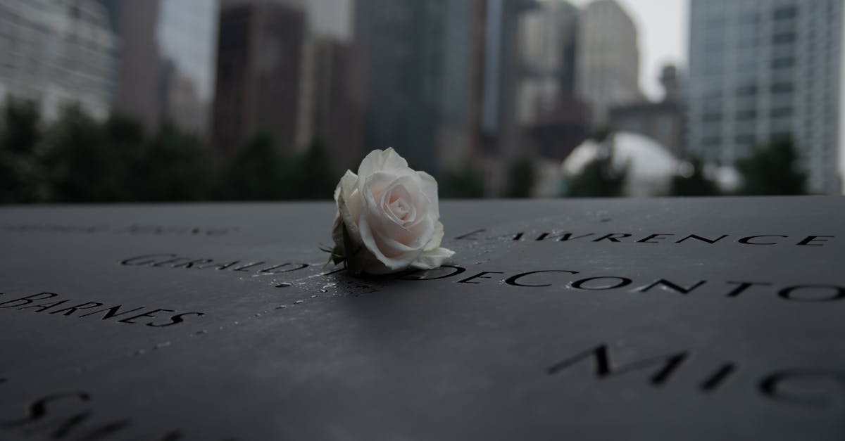 Kuningas Charles ja kuninganna Camilla käisid 9/11 memoriaalil New Yorgis