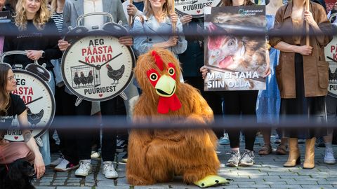 Tallinnas Riigikogu ees meeleavaldus kanade puuris pidamise vastu