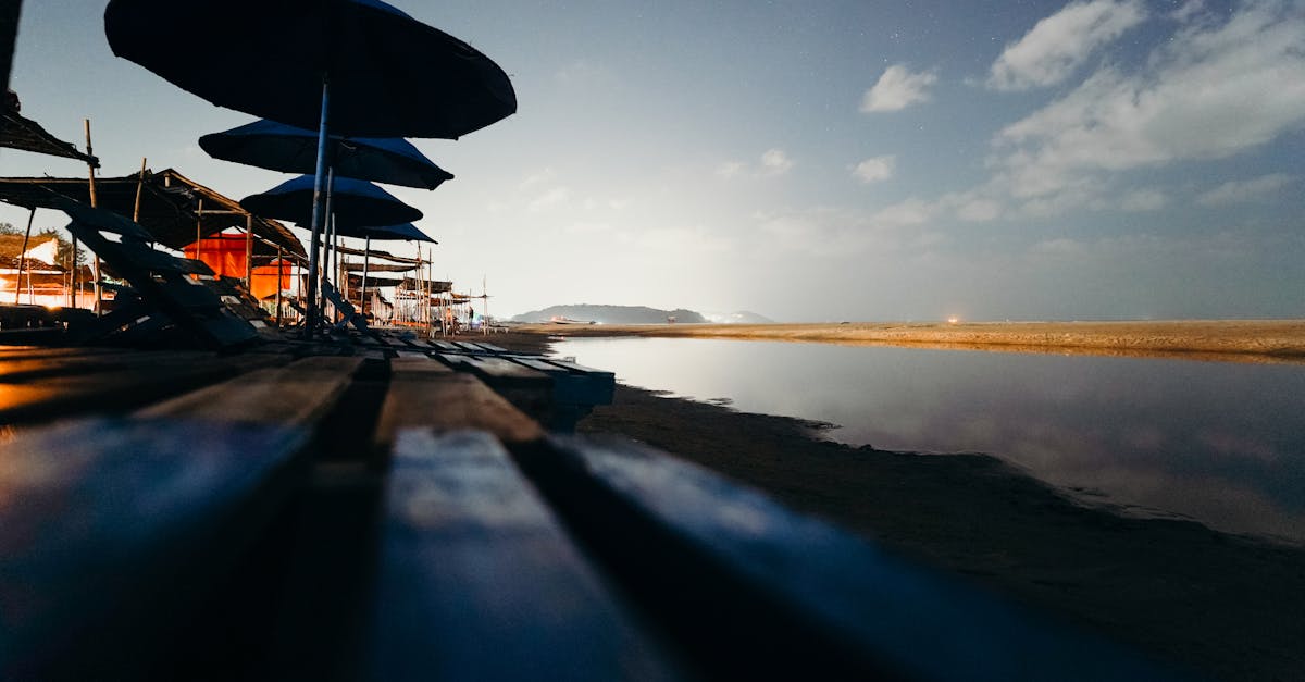 Goa tourism slump: Foreign visitors decline sharply despite domestic boom