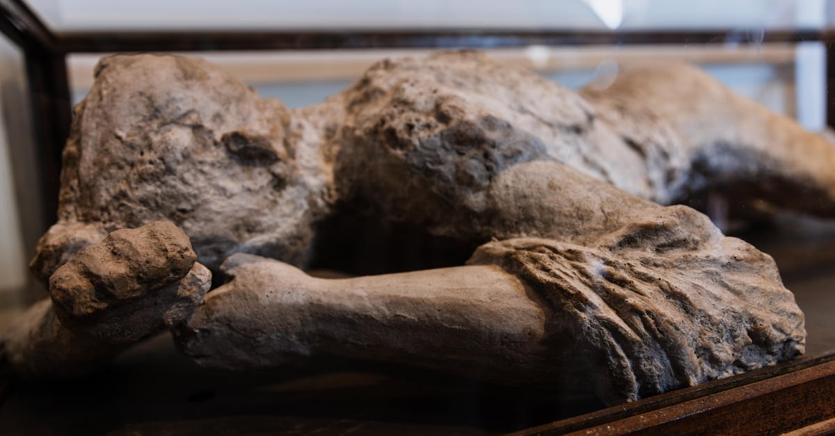 Teadlased selgitasid neandertallaste väljasuremise põhjused