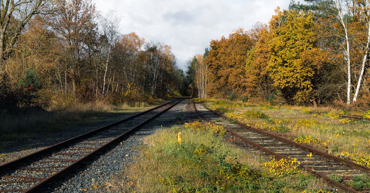 Scenic Railway Line Saved After Public Campaign