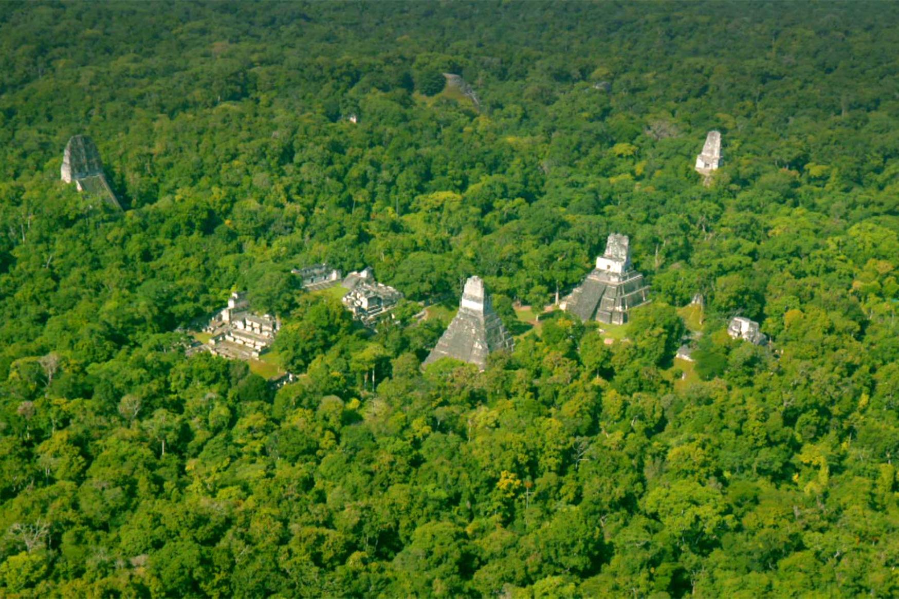 Belize’i vihmametsades on säilinud tuhande aasta tagused maia infrastruktuuri jäljed