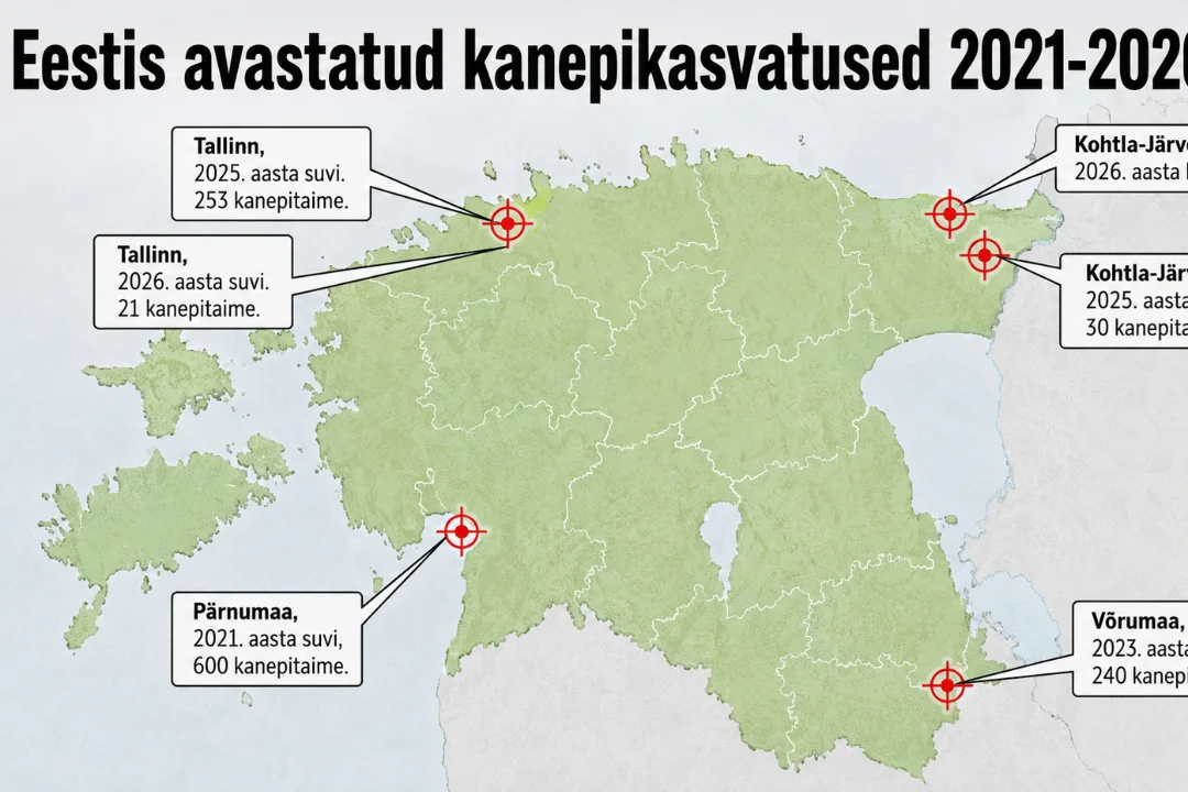 Tallinna Lasnamäe kortermajas paljastus ebaseaduslik kanepikasvatus