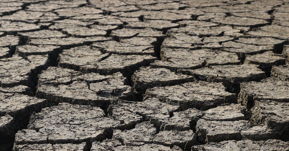 Will UK Face Summer Drought After Dry April?