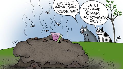 Automaks näitas esimesel aastal oodatust halvemat tulemust