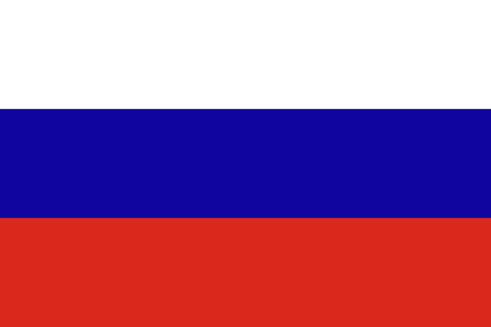 Pskov court sentences Belgian passport holder to 16 years for treason