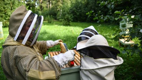 Дни мёда в Пярнумаа пройдут уже в третий раз в конце июня