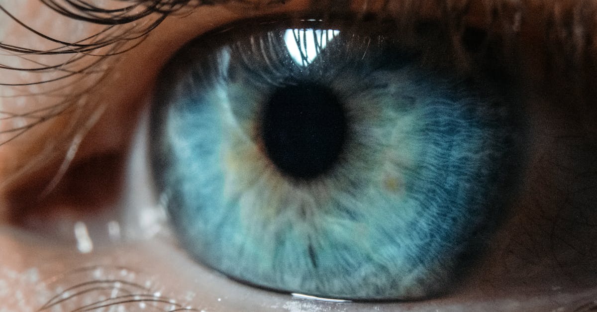 Tinder and Zoom Deploy Iris Scanning to Stop Fake Accounts