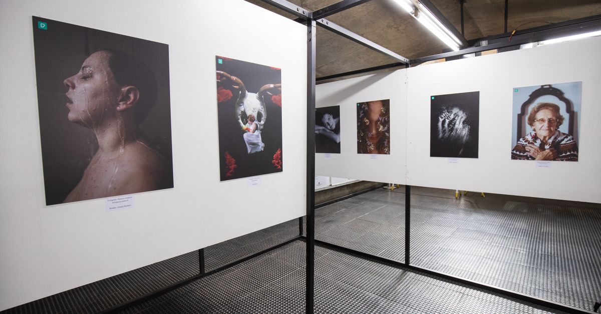 Tallinnas avati Ukraina kunstnike grupinäitus „Loor”