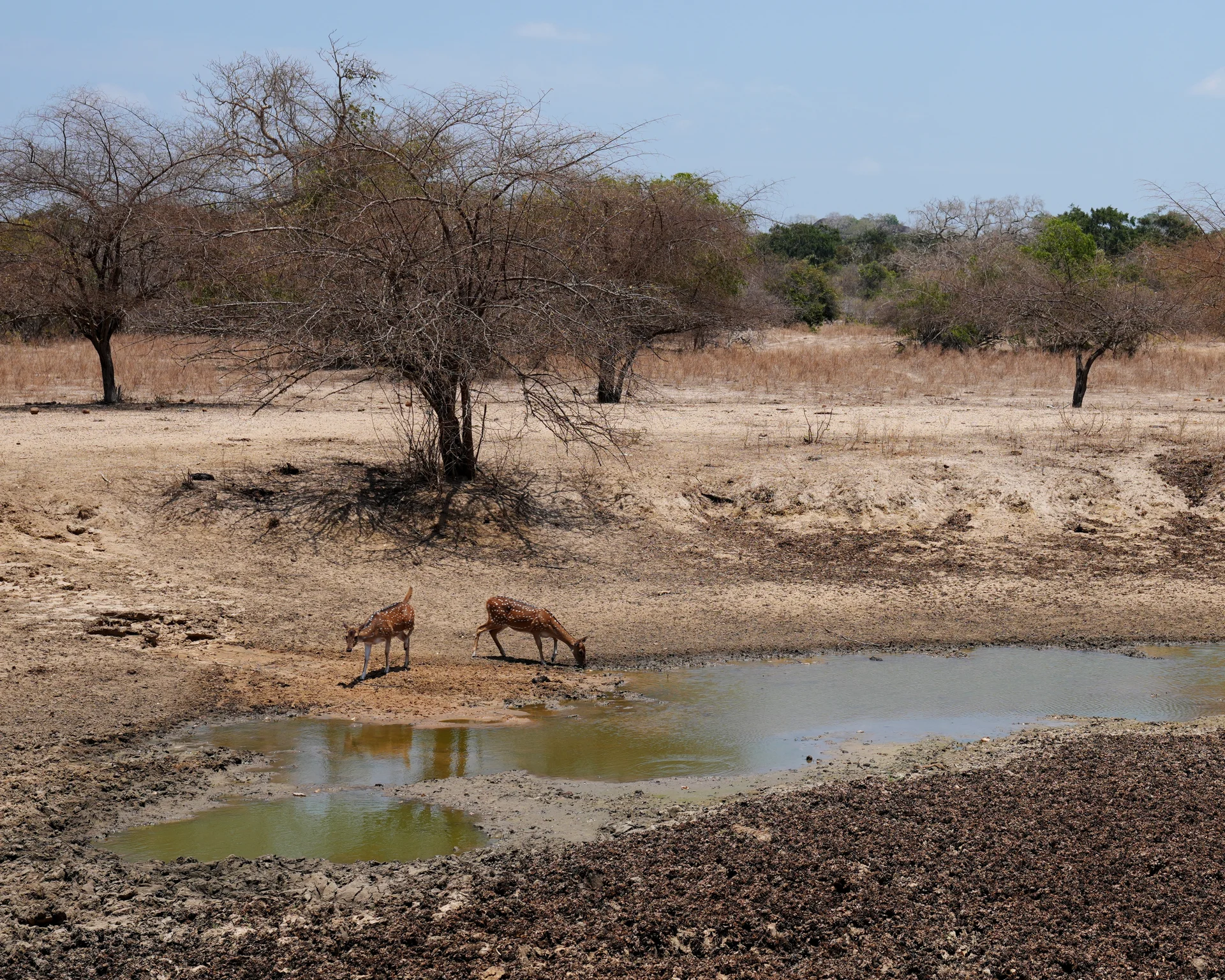 IPCC kliimaraporti avaldamise ajakava tekitab Addis Abebas vastasseisu