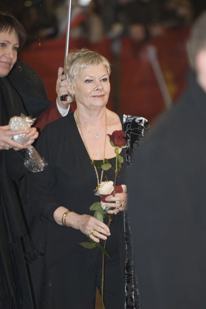Dame Judi Denchi maal kogus heategevuseks ligi 7000 naela