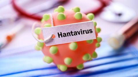 Soomes diagnoositud hantavirus, terviseamet jälgib olukorda