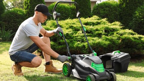 Maaülikooli teadlane: kuidas kaitsta aeda umbrohu ja põua eest