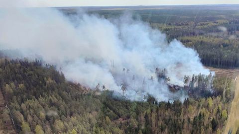 Ida-Viru päästjad võitlevad mitmekaupa metsapõlengutega