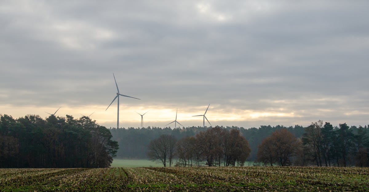 Leedu energiafirma tahab Pärnusse tuuleparki rajada