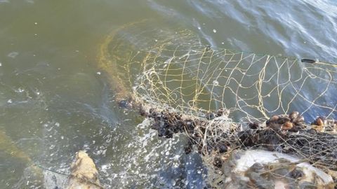 Environmental Board launches removal of abandoned fishing nets from Lake Peipus