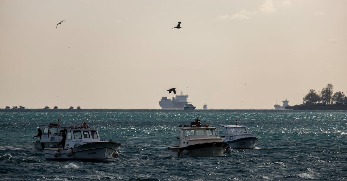 Israel Stops Gaza Aid Fleet Near Crete, Detains 175