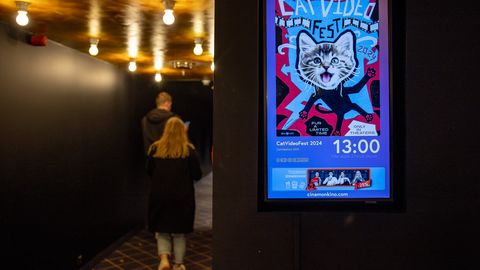 Cinamon kino T1 keskuses võib olla sulgenud