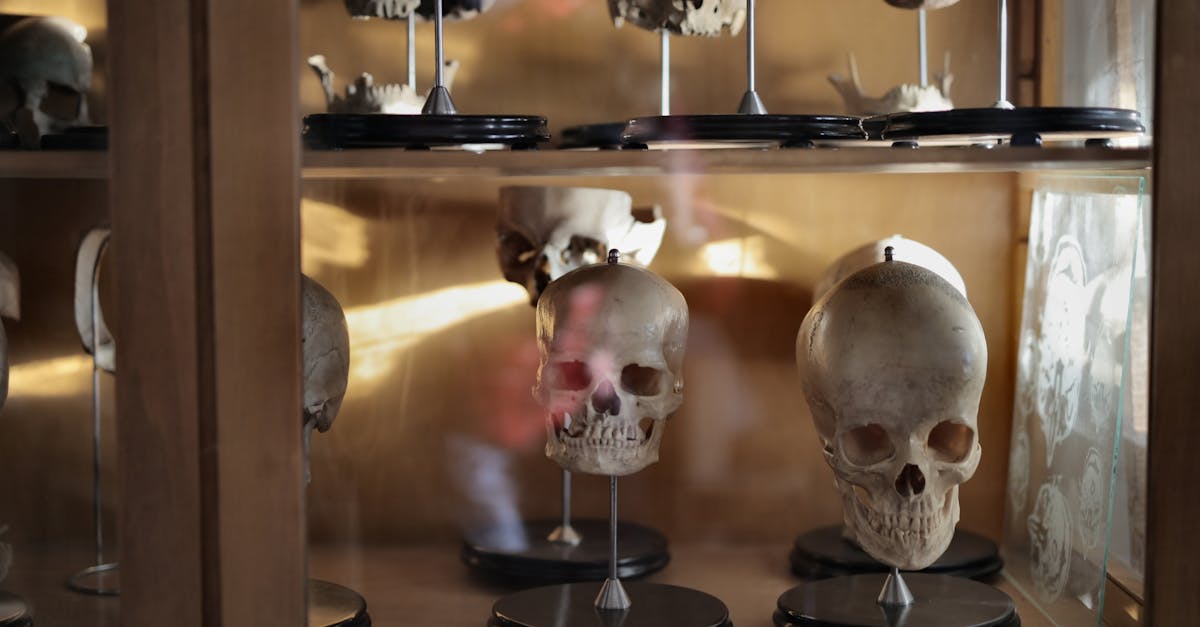 Neandertallased elasid eraldatud väikerühmades