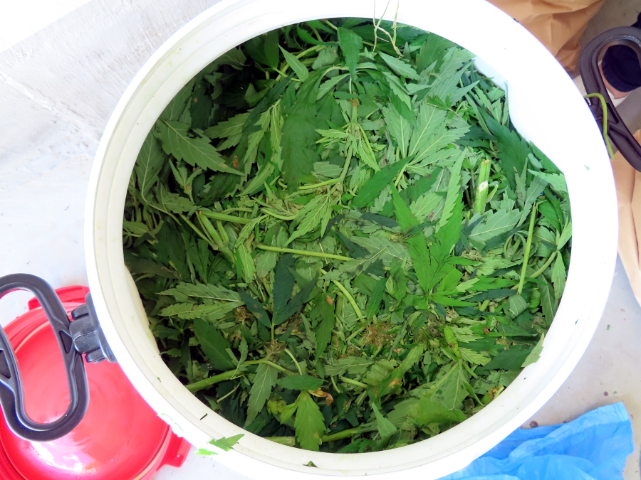 Eestis keelatakse kogu poolsünteetiliste kannabinoidide ainerühm