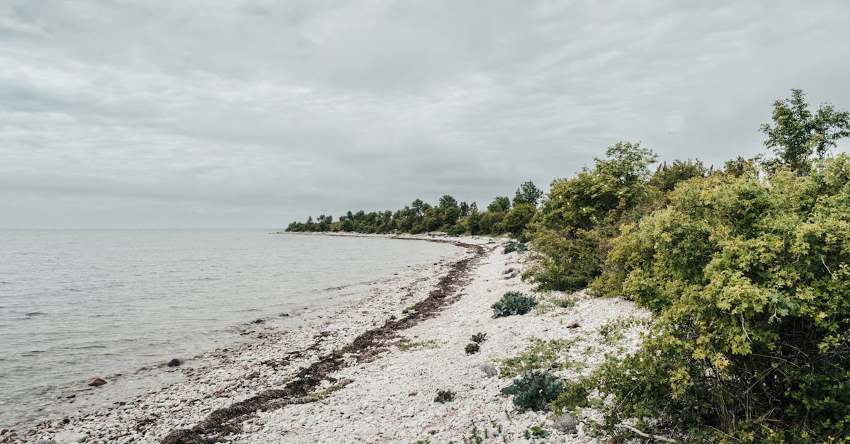 Hiiumaa vald vastas keskkonnaameti kaitseala kavale