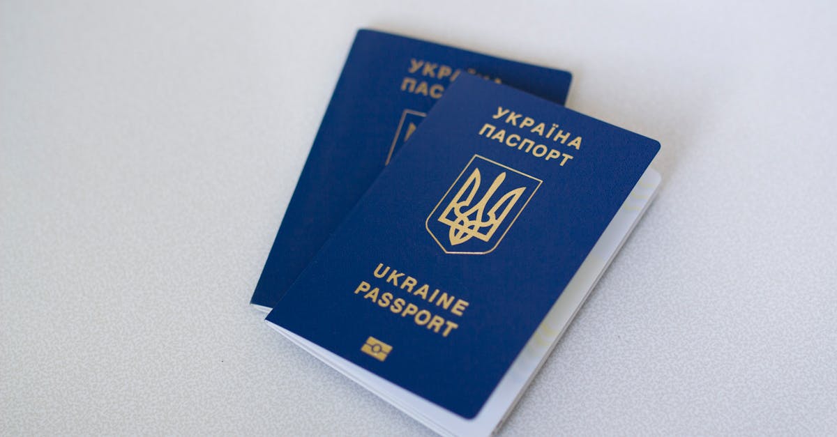 Ukraina ja Venemaa vahetasid 205 sõjavangist kummalgi pool, kuigi lubati 1000