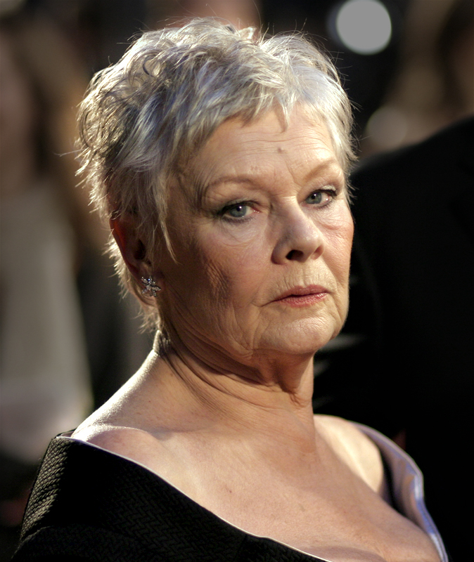 Dame Judi Dench's painting raises £7,000 for charity