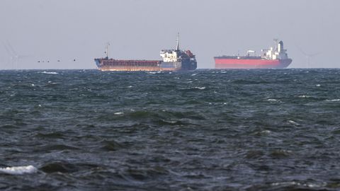 Swedish court backs Ukraine in case of cargo ship Caffa carrying stolen grain