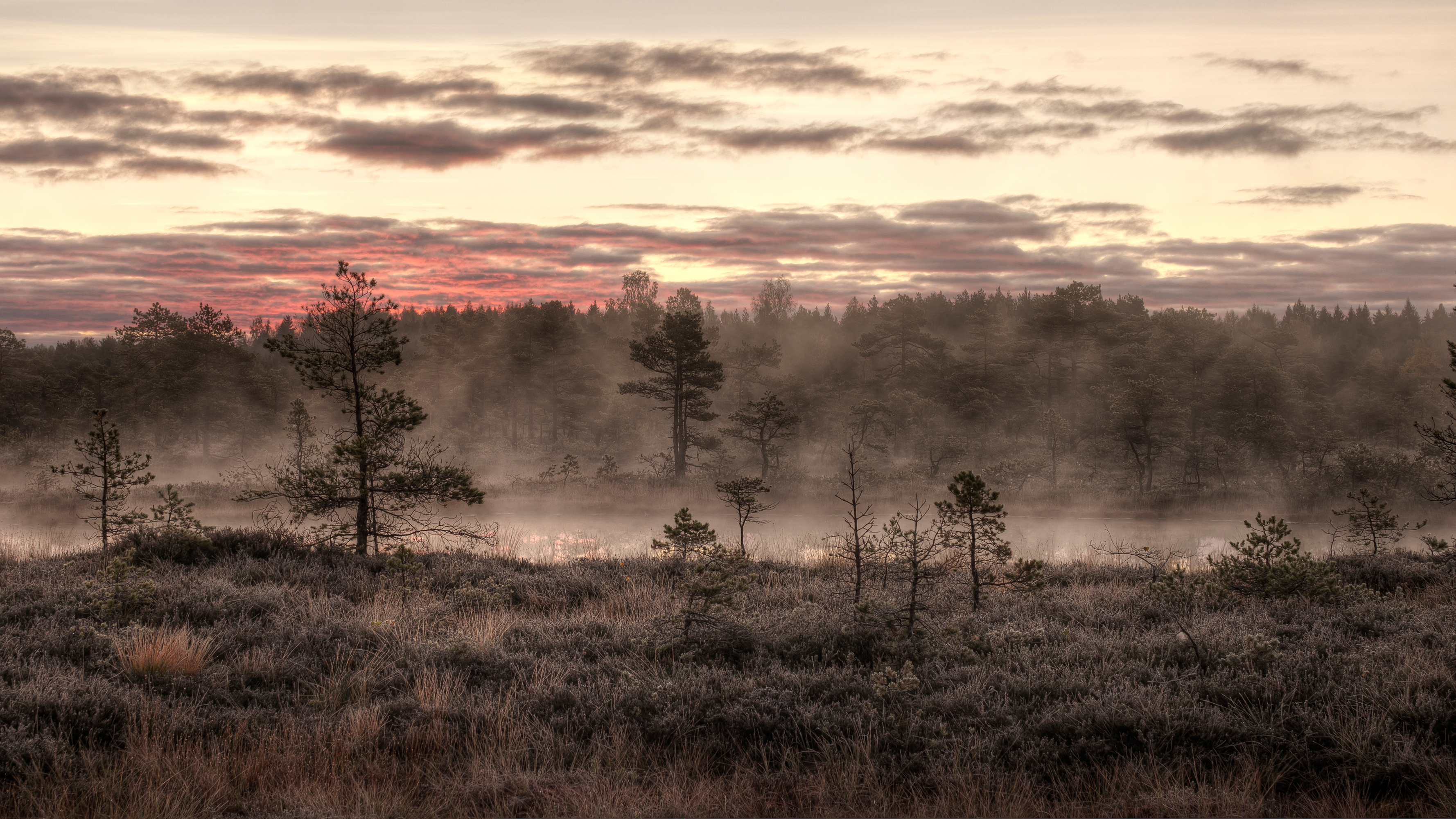 Ilmaprognoos Eestis: esmaspäeval tõuseb temperatuur kuni 22 kraadini