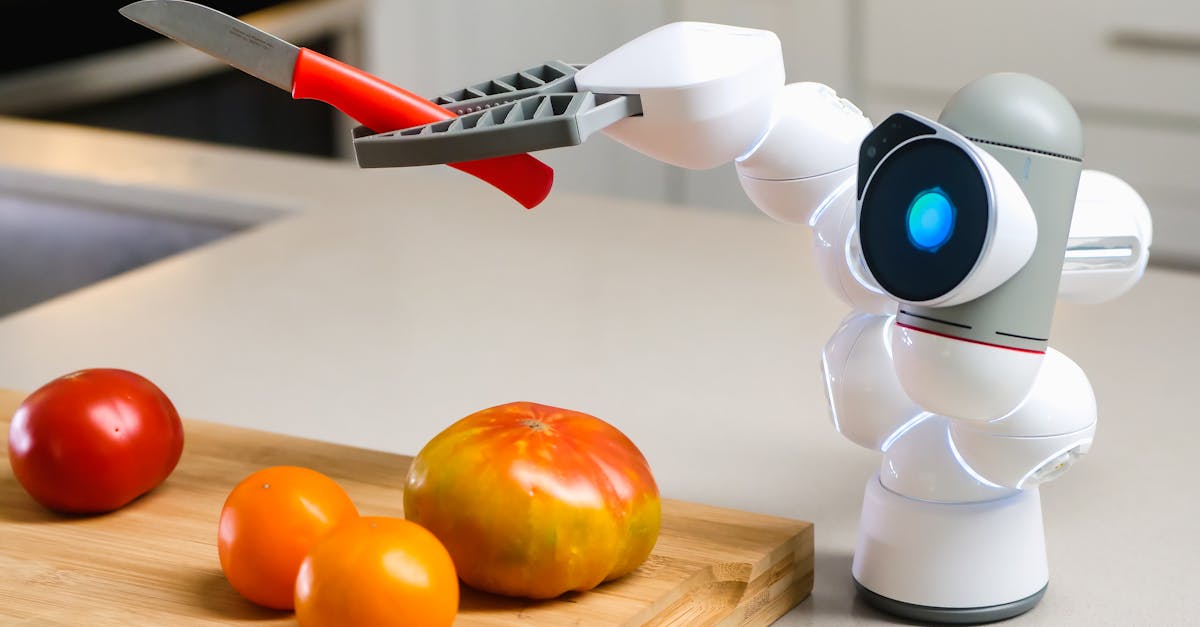 AI muudab restoranide avamist lihtsamaks, ennustab Wonder