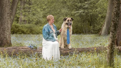 Dog from Tartu shelter Kusti Gustav lost 30 kilograms and is now looking for a new home