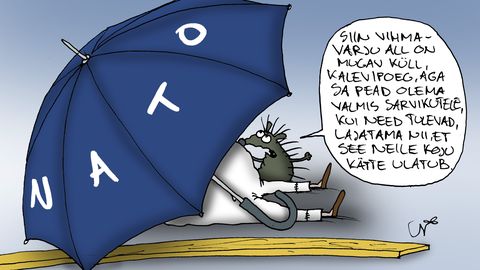 Eesti julgeolekupoliitika muutub aktiivsemate meetoditega
