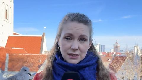 Kajakas varastas Soome ajakirjaniku päikeseprillid otse-eetris