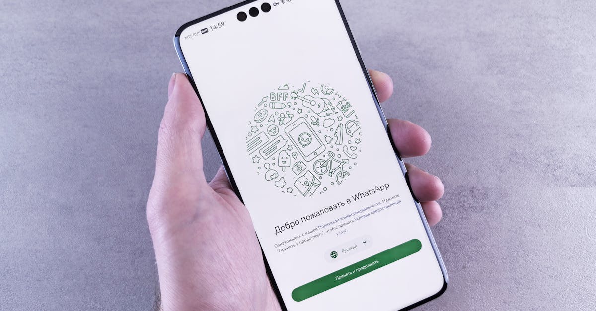 WhatsApp тестирует премиум-подписку с косметическими улучшениями