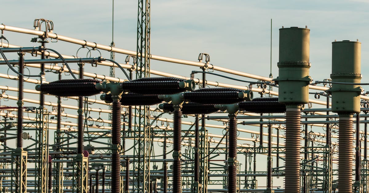 Покупка Ovo Energy: клиентам советуют остаться спокойными