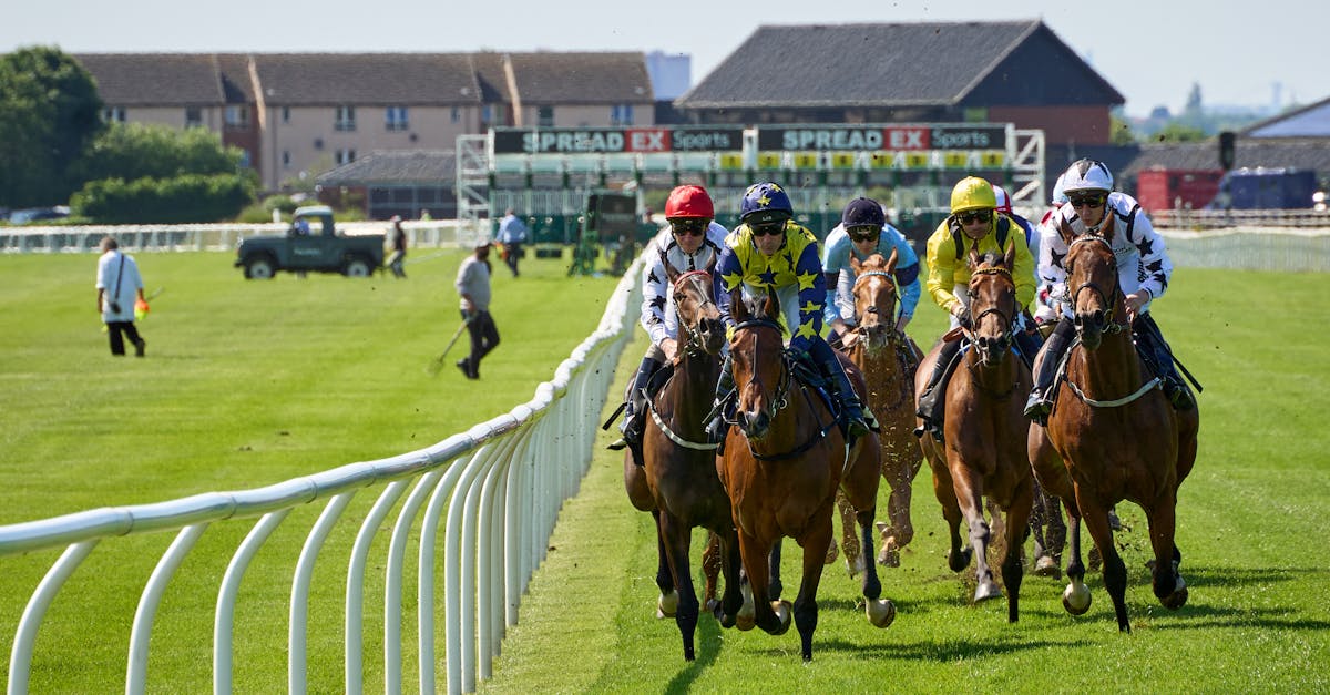 Grand Nationali võitja Noble Yeats suri