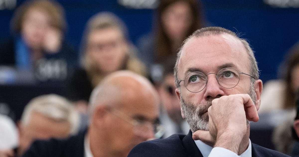 Multiple hats on one head: European politicians' dual roles under the microscope