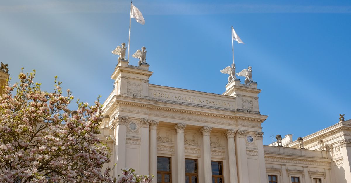 Главное здание Тартуского университета, сердце эстонской науки