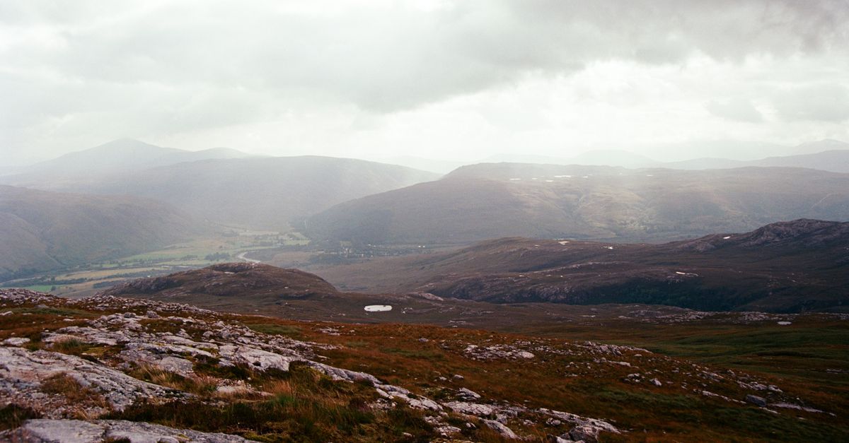 Scotland's Mysterious Big Cat Sightings Continue in Cairngorms