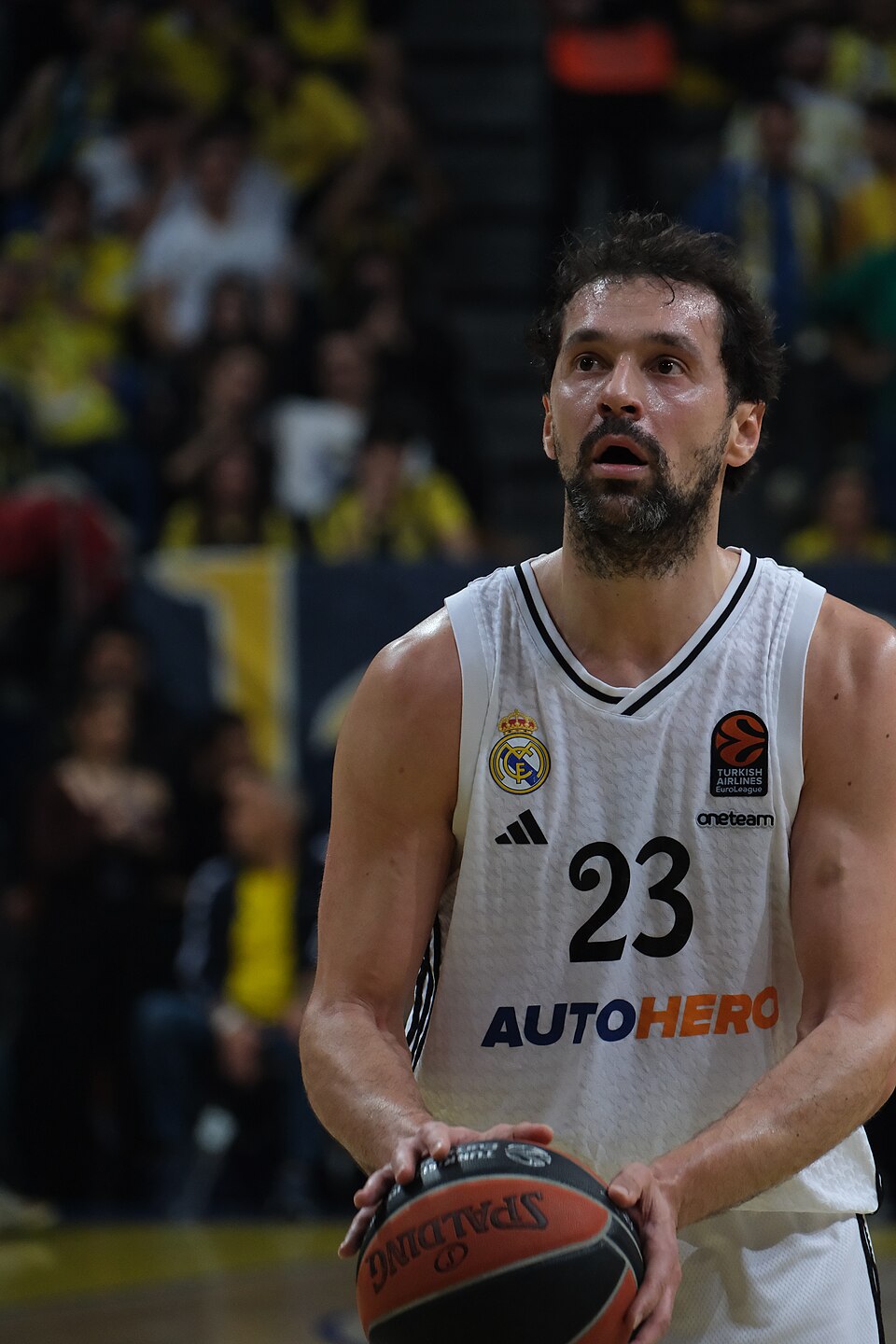 Madridi Reali korvpallilegend Sergio Llull jätkab klubis ka oma 20. hooajal