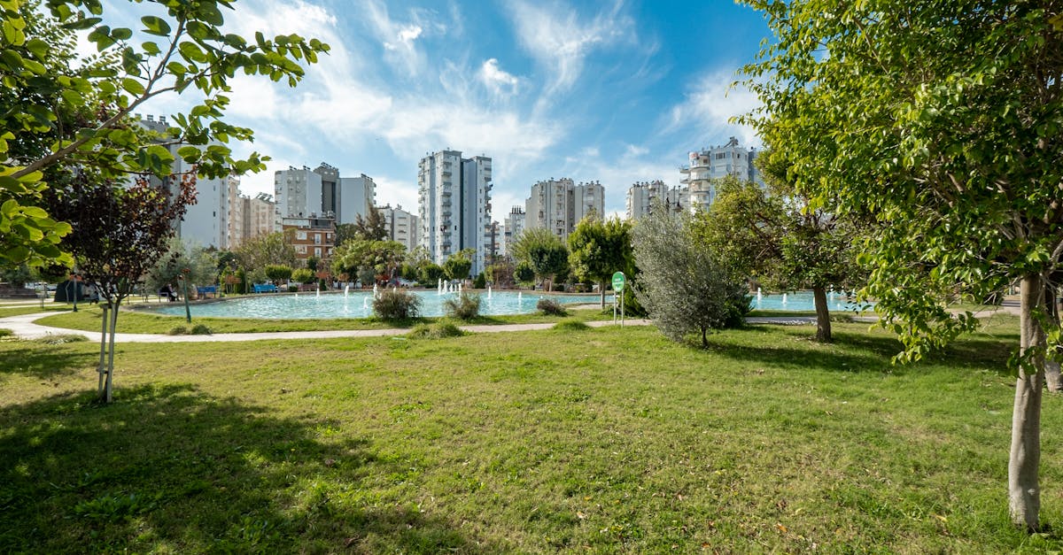 В Нарве перенесли обработку от клещей в зоне Аккекюла