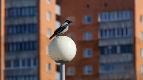 Kolmapäeval ootab eestlasi soe ilm ja tugev tuul
