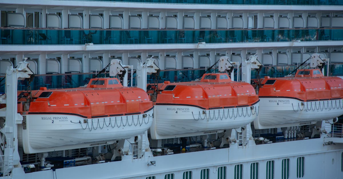 Hantavirus outbreak on cruise ship raises alarm