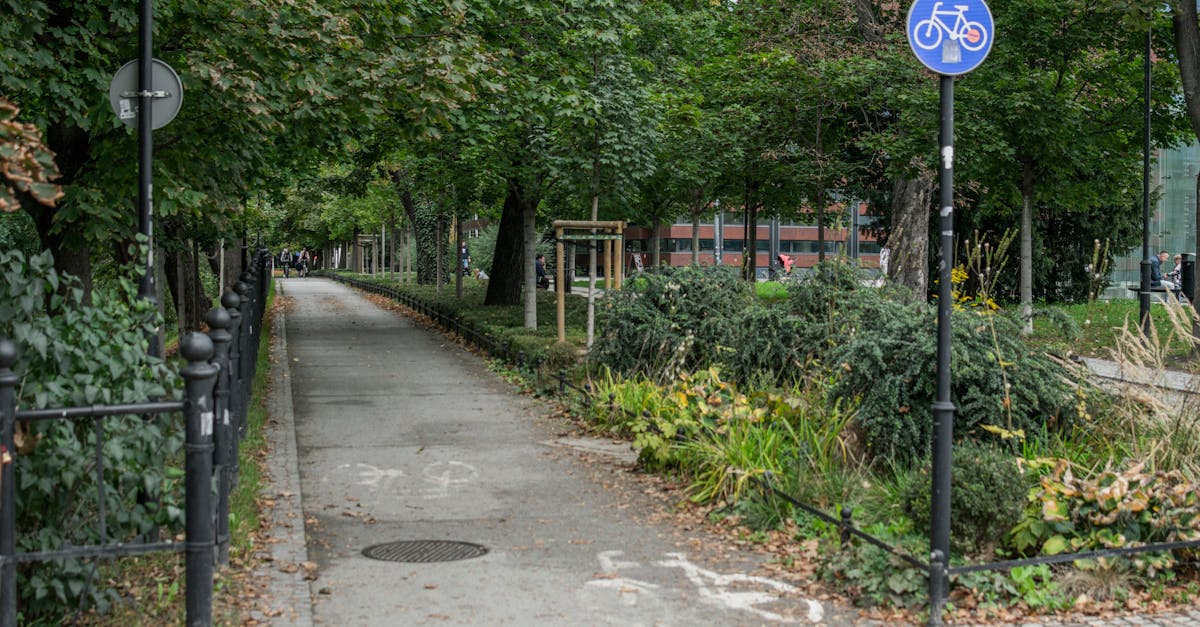 Google Maps lisas Tallinnale jalgrattamarslutid