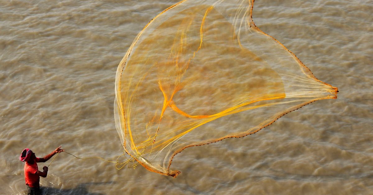 Fish Become Political Symbol in West Bengal Election Campaign