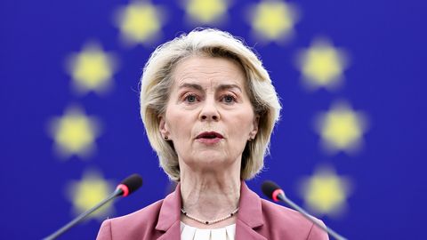 Euroopa peab leidma oma juured, Pikner kritiseerib elektrituru käitumist
