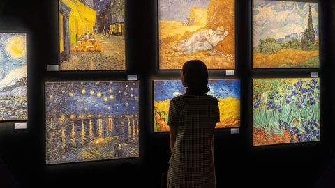 Tallinnasse saabub Van Gogh'i rahvusvaheline elamusnäitus