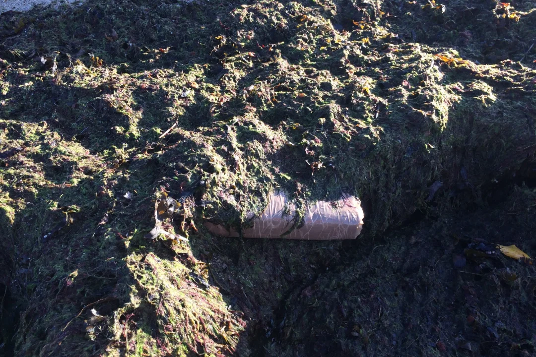 Schoolboys discovered a drug cache in the forest and helped police catch the criminals